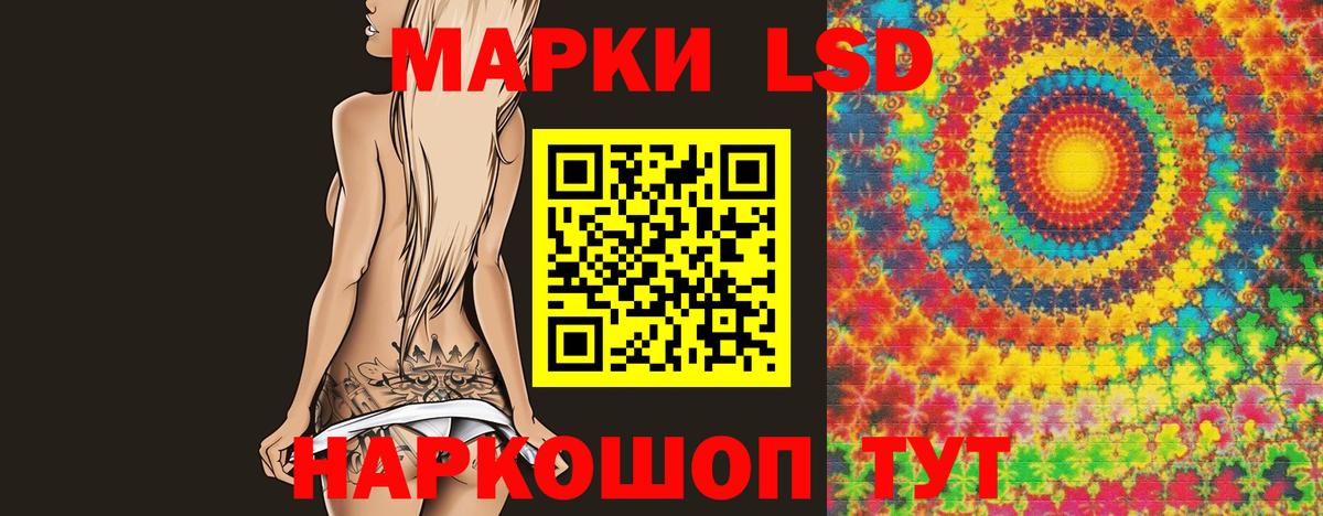 Новоалександровск  Лсд 25 экстази ecstasy  Лсд 25 экстази кислота  Вход с VPN 