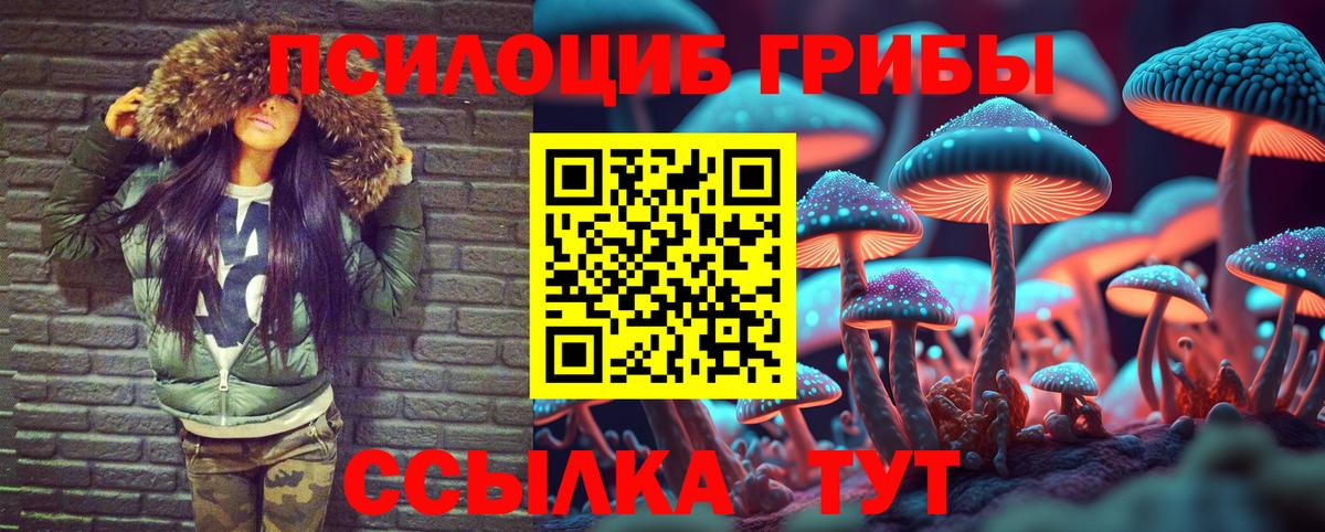 Псилоцибиновые грибы MAGIC MUSHROOMS  Вход с VPN  Новоалександровск  Псилоцибиновые грибы Psilocybine cubensis 